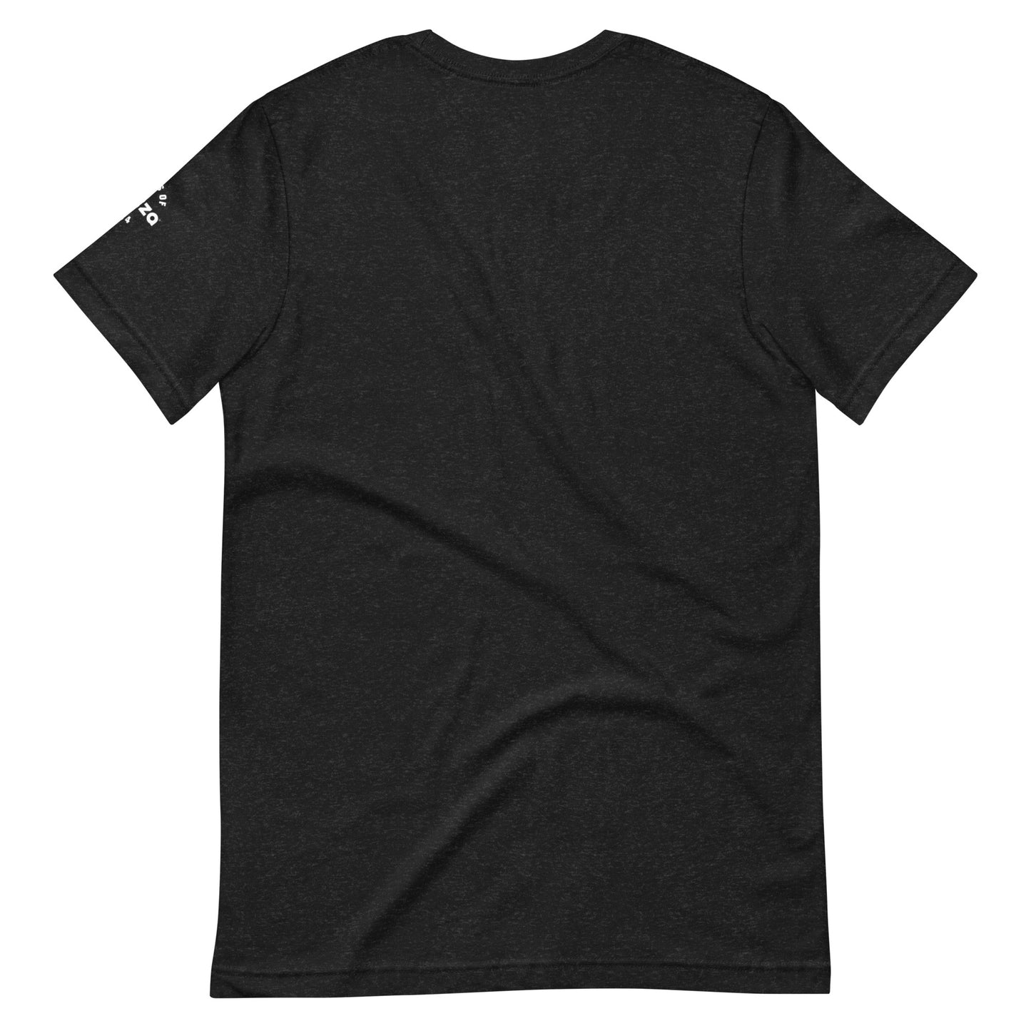 Washington DPC Member (Class of 2024) Black Big Head Unisex t-shirt